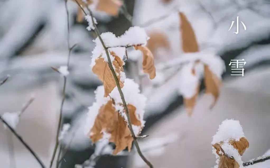 Väike lumi – mida teada